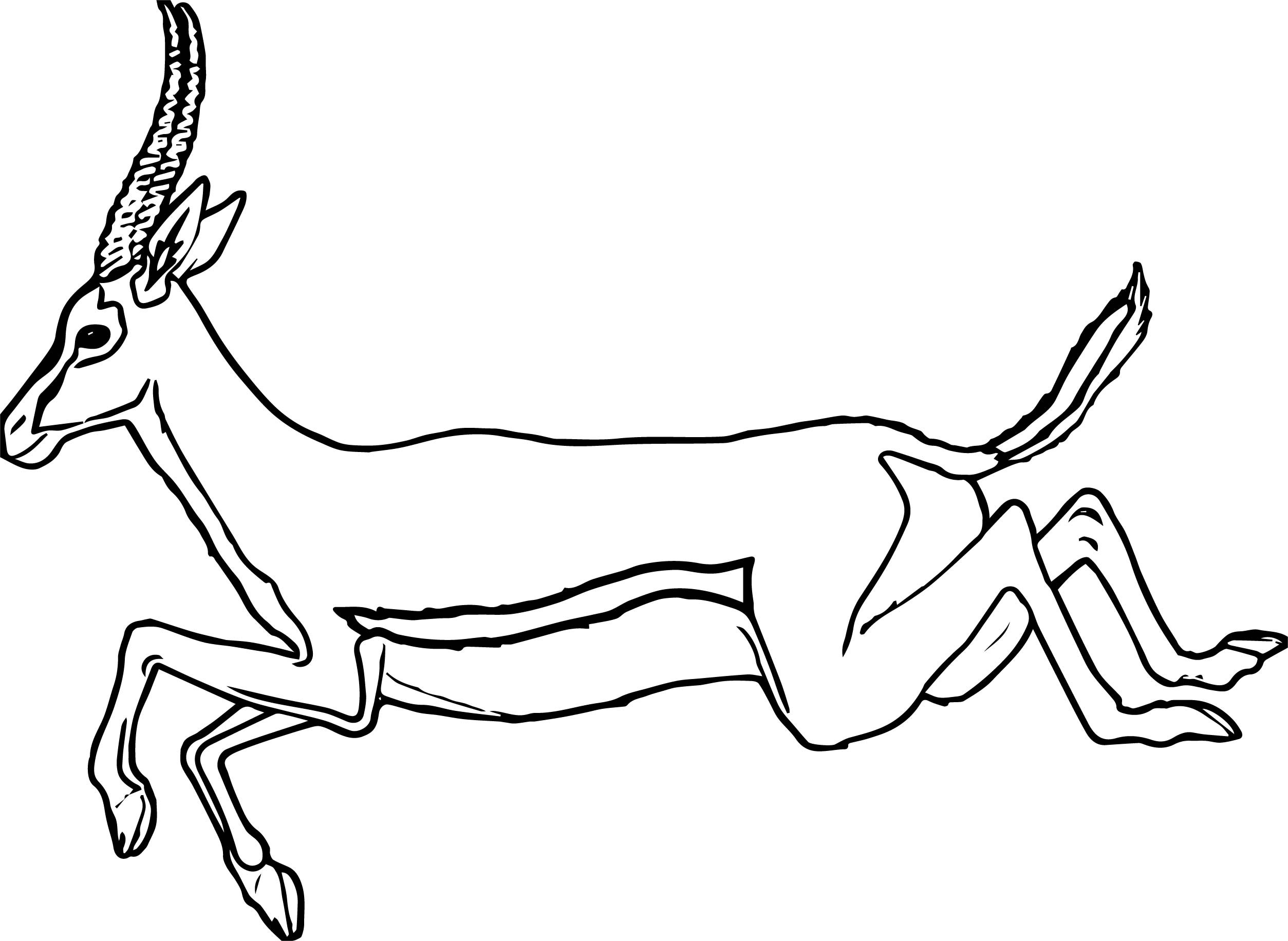 2507x1832 Kudu Animal Coloring Pages