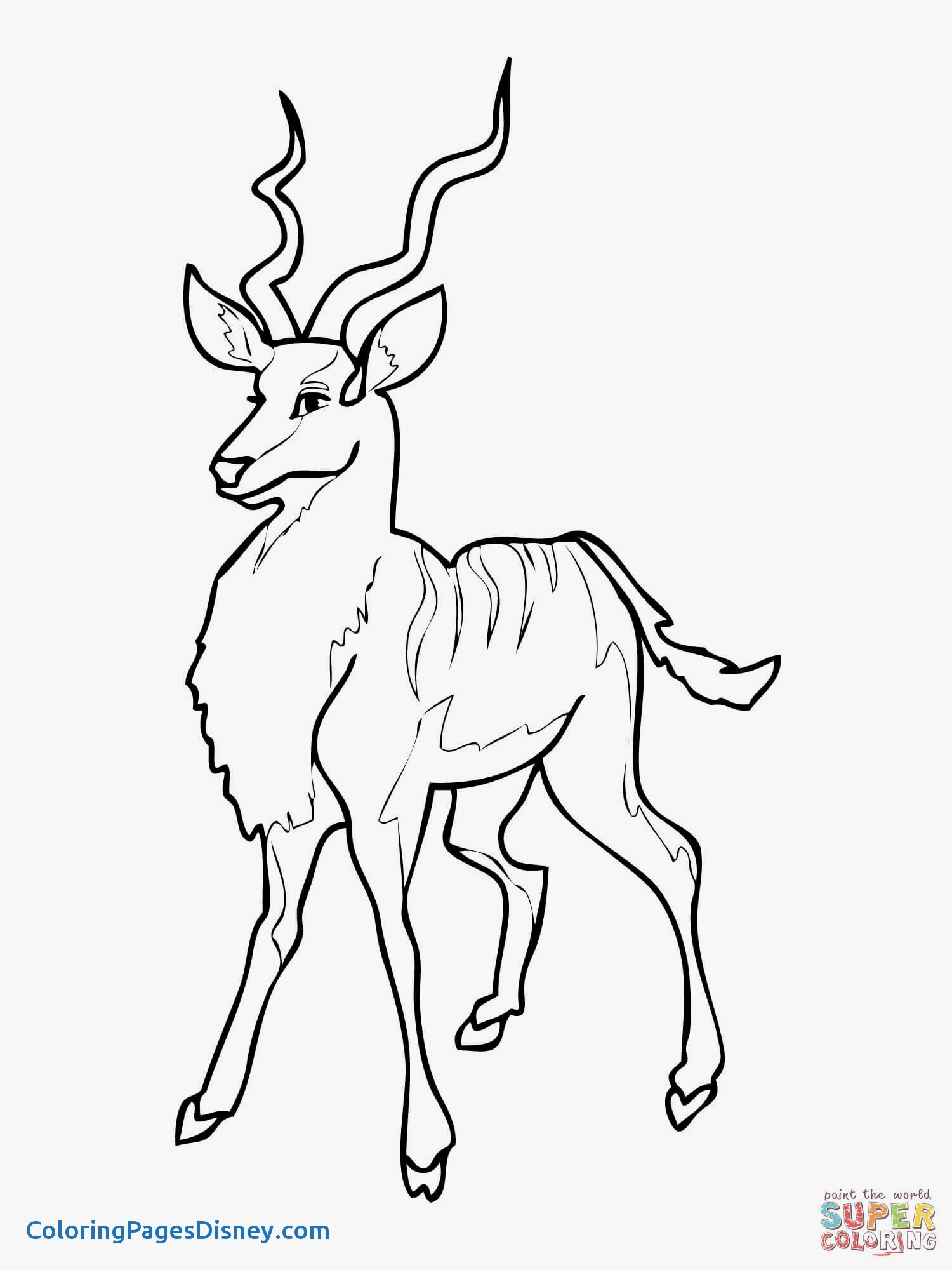 1500x2000 Kudu Coloring Pages Fresh Kudu Antelope Coloring Page