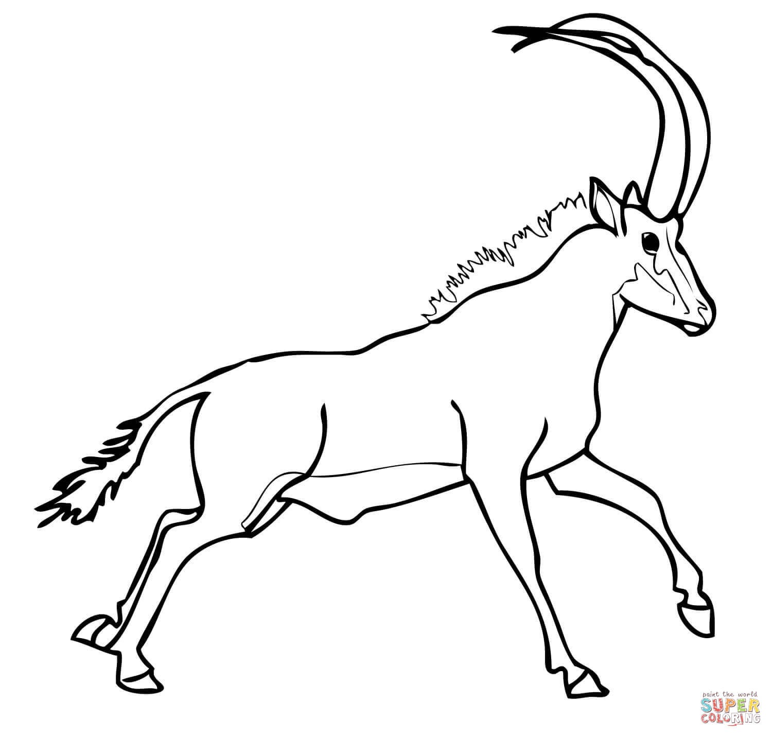 1500x1432 Antelope Animal Coloring Pages Elegant Sable Antelope Runs