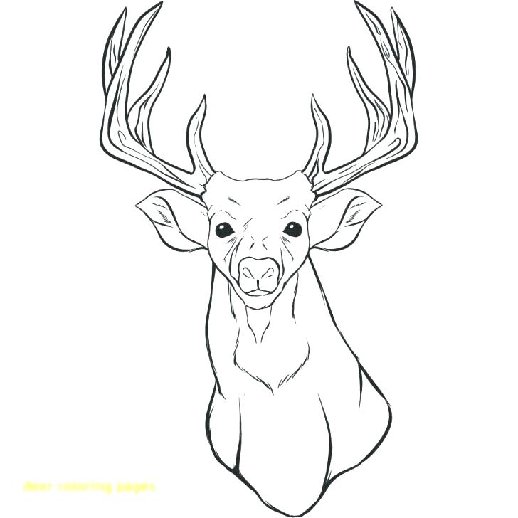 728x728 Deer Head Coloring Pages Deer Head Coloring Pages Deer Head