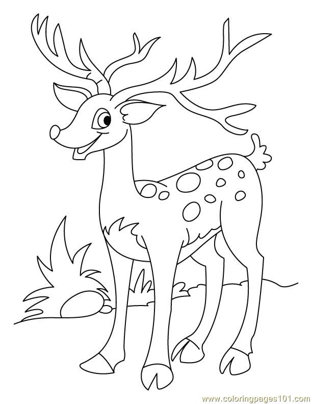 612x792 Deer Horn Looking Big Coloring Page