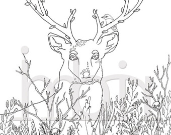 340x270 Antler Coloring Page Etsy