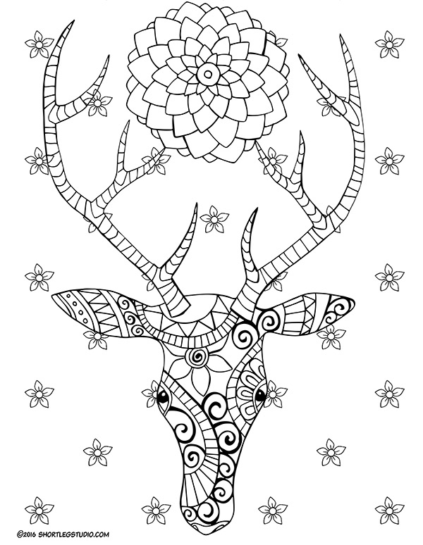 600x774 Flora And Fauna Coloring Sheets Short Leg Studio