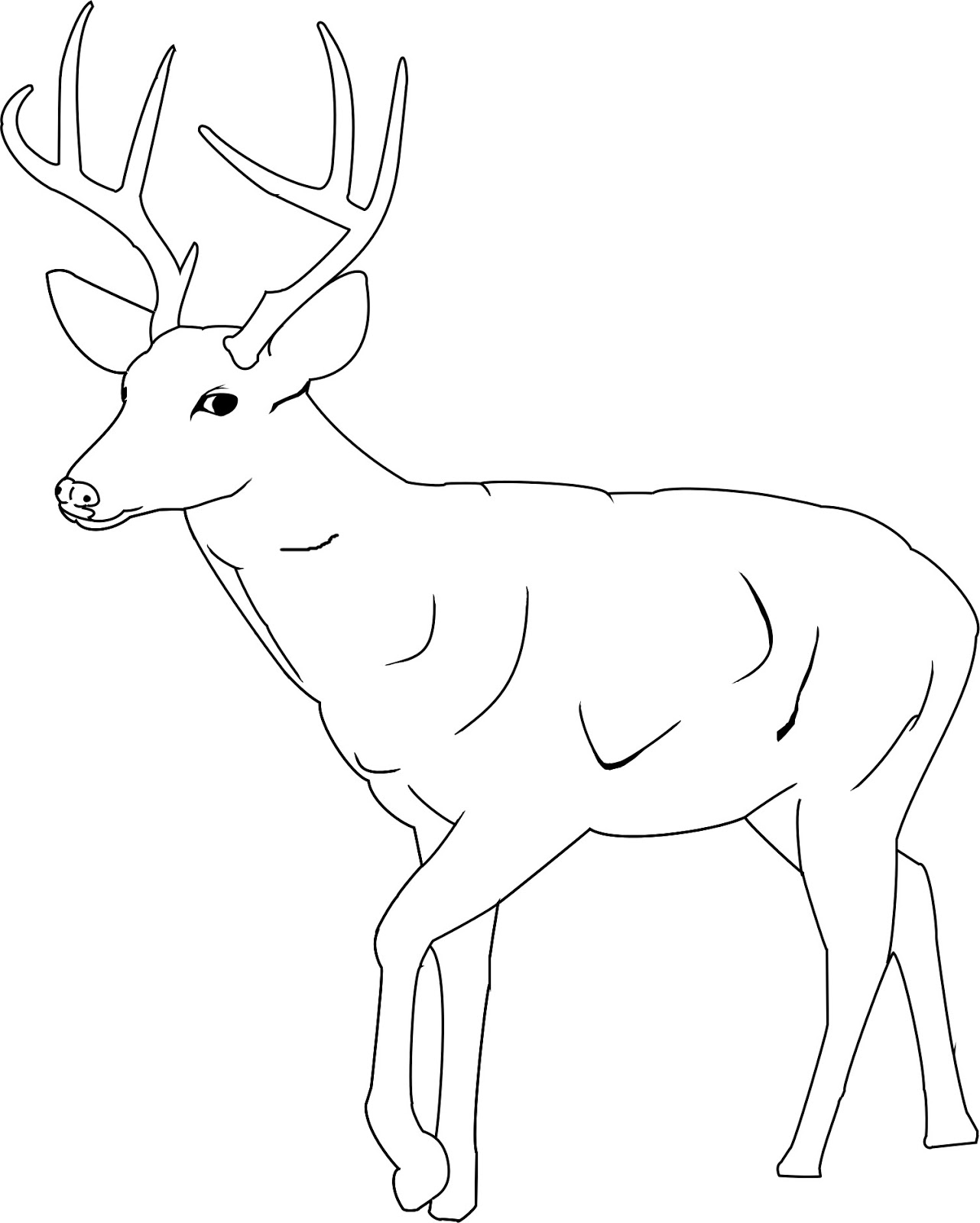 1282x1600 Printable Deer Coloring Pages For Kids Of Buck Page Animal Free