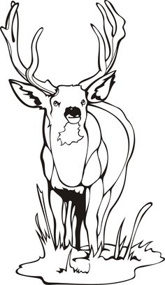 236x408 Deer Coloring Page, Add Pipe Cleaner Antlers! Recipes Amp Party