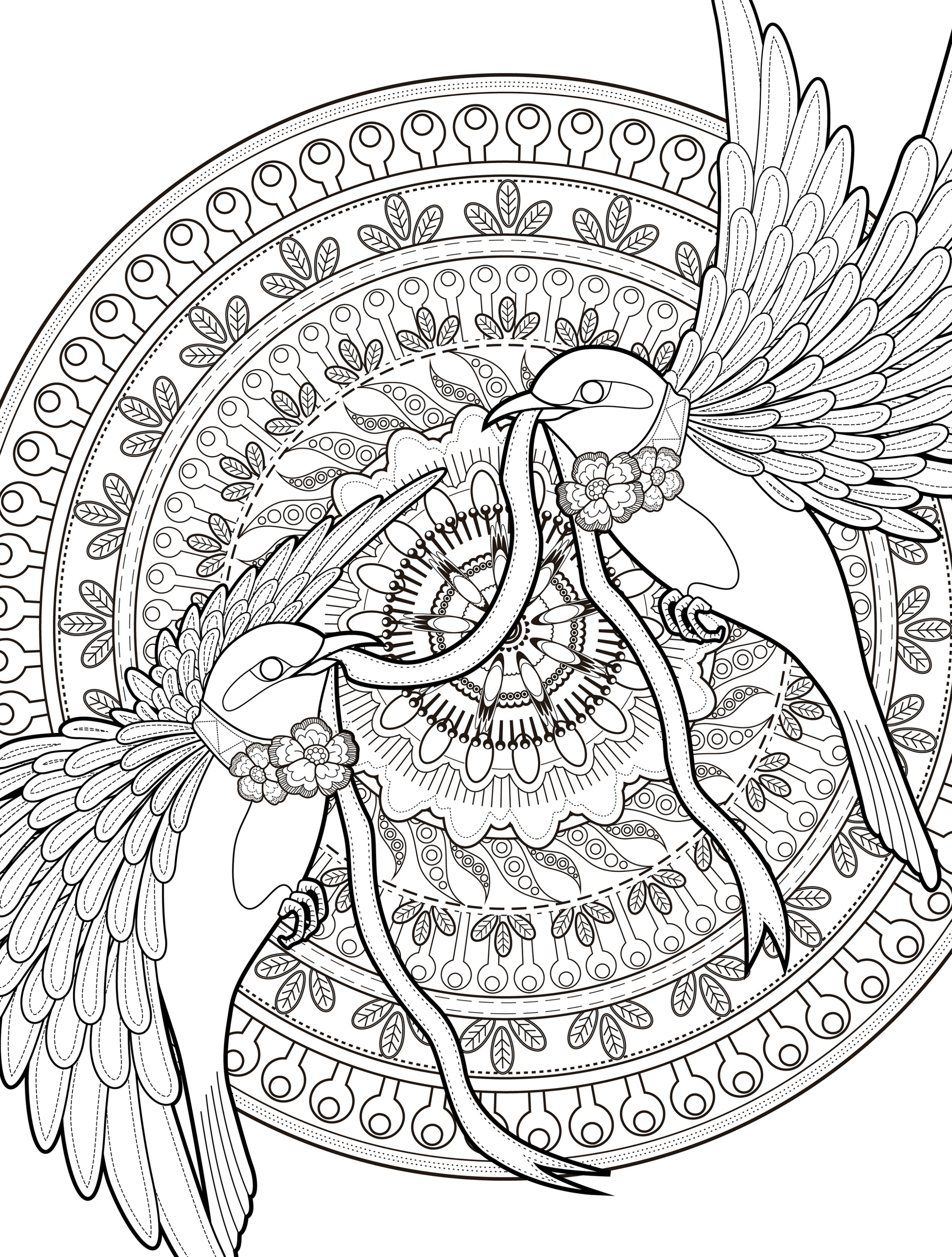 2500x3300 Delivered Downloadable Coloring Pages For Adults Colouring