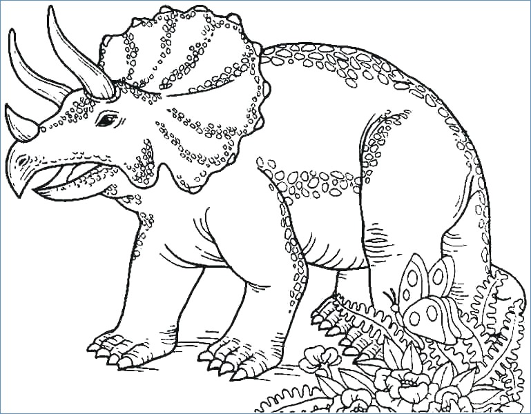 769x600 Apatosaurus Dinosaur Coloring Pages