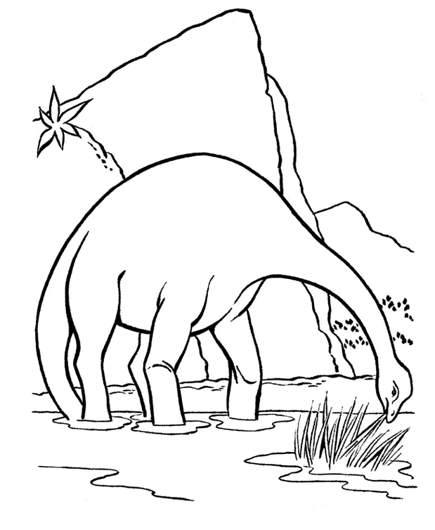 619x754 Apatosaurus Amp Coloring Book