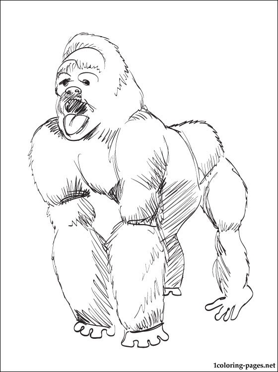 560x750 Ape Coloring Page To Print Out Coloring Pages
