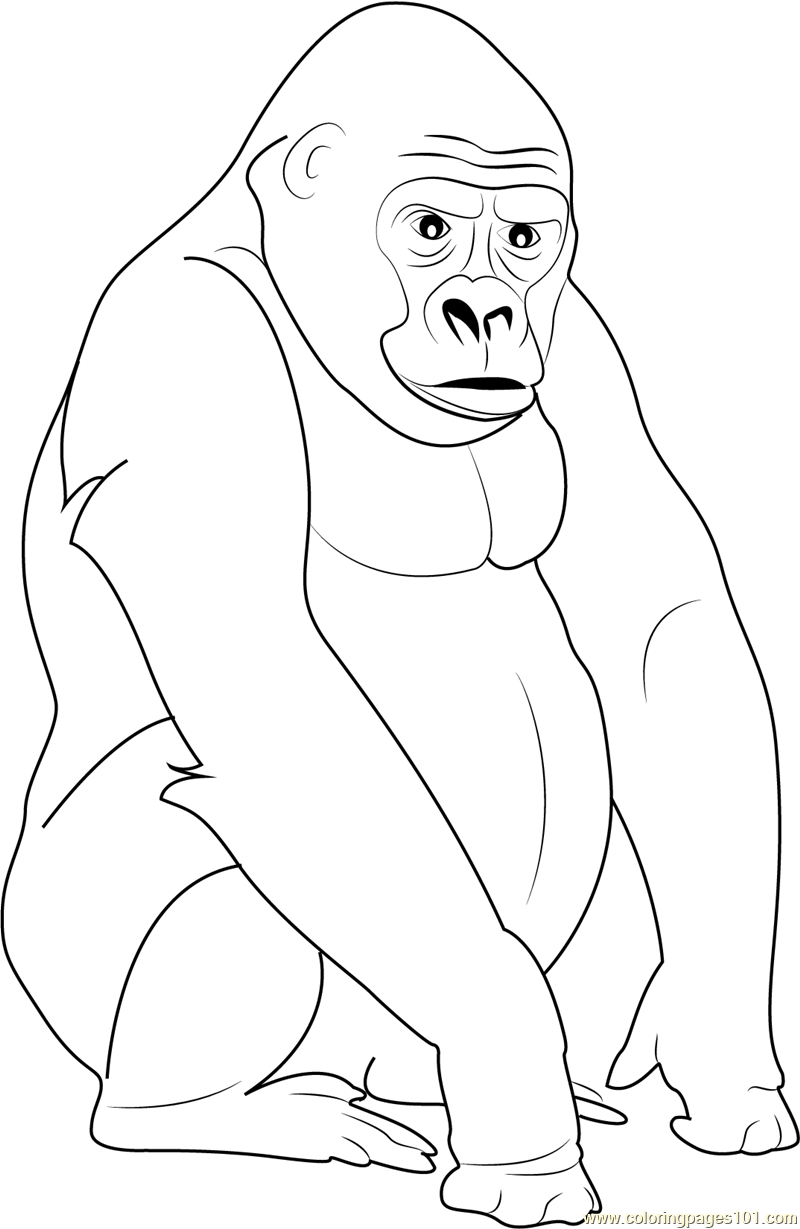 800x1229 Gigantic Gorilla Coloring Sheet Awesome Page T