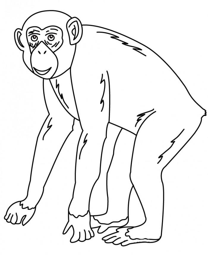 700x857 Animal Colouring Pages Free Download Amp Print! Free Amp Premium