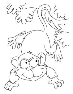 236x305 Alligator Motto Live N Let Live Coloring Pages Krokodillen