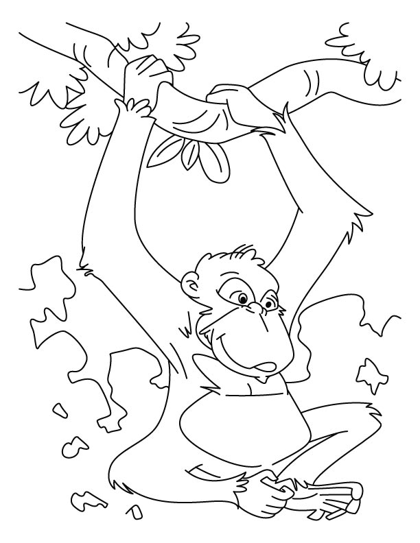 612x792 Ape Coloring Page Gorilla 574904