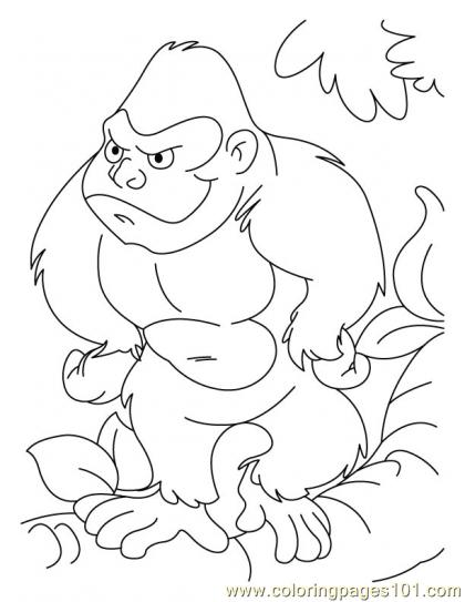 420x543 Ape Coloring Page6 Coloring Page
