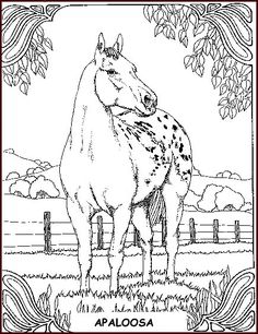 236x306 Free Horse Coloring Pages