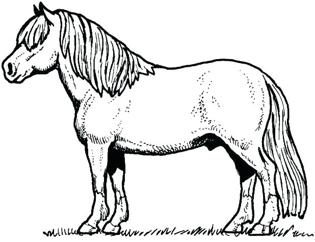 618x475 Free Horse Coloring Pages Appaloosa Horse Coloring Pages Free Baby