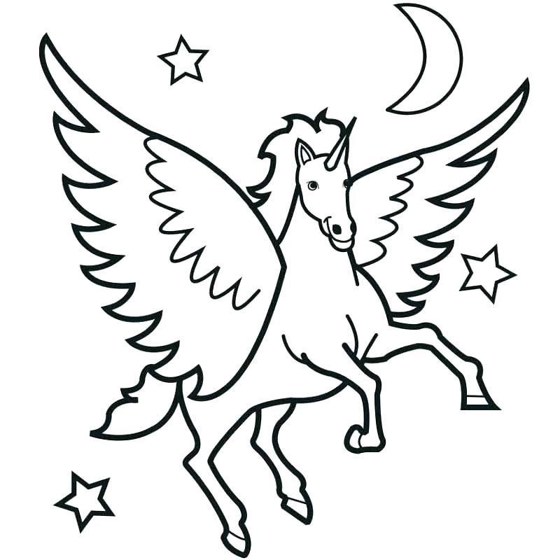800x800 Horse Colori Pages Free Horse Colori Pages Free Decoration Horse