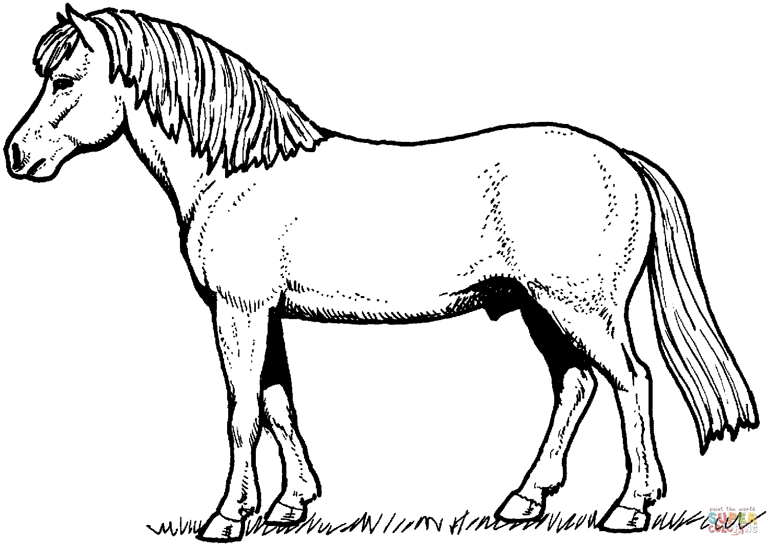 1500x1066 Horse Coloring Page Beautiful Appaloosa Horse Coloring Page Logo