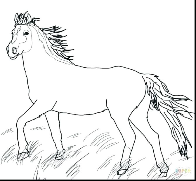 671x621 Coloring Paint Horse Coloring Pages Appaloosa Sheets. Paint Horse