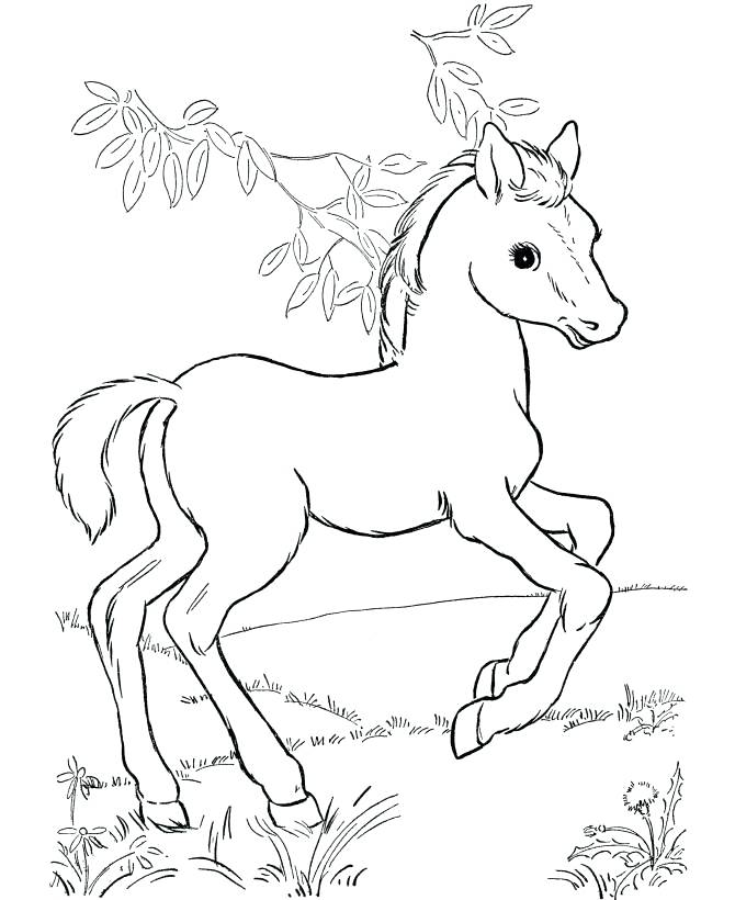 670x820 Coloring Pages For Kids Appaloosa Horse With Leopard Spotted Coat