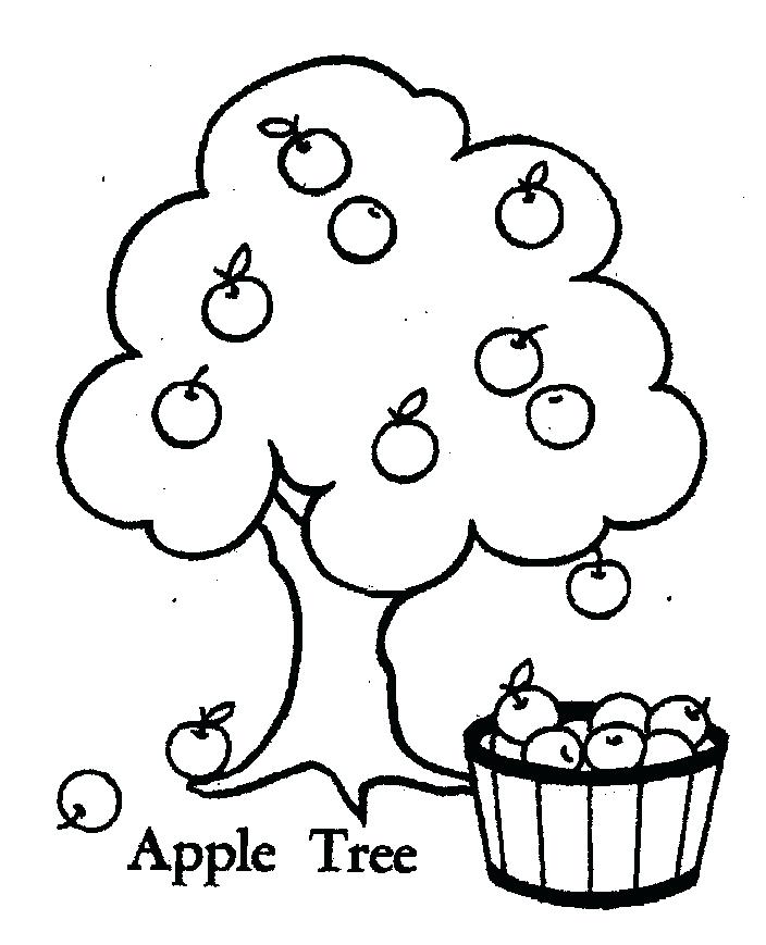 Apple Blossom Coloring Page