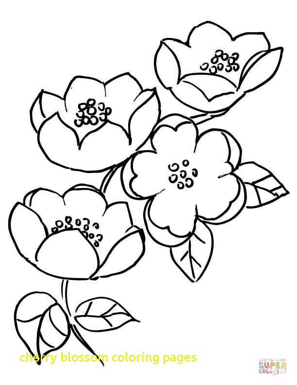 612x792 Cherry Blossom Coloring Pages With Apple Blossom Branch Coloring