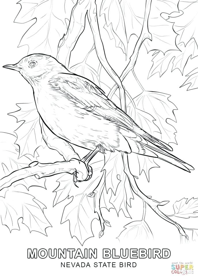 687x970 Coloring Apple Blossom Coloring Page Free Colouring. Apple