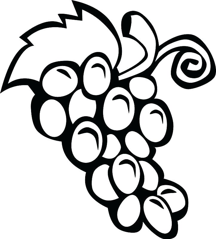 723x800 Fruit Coloring Pages Fruits Coloring Book Together With Fruits