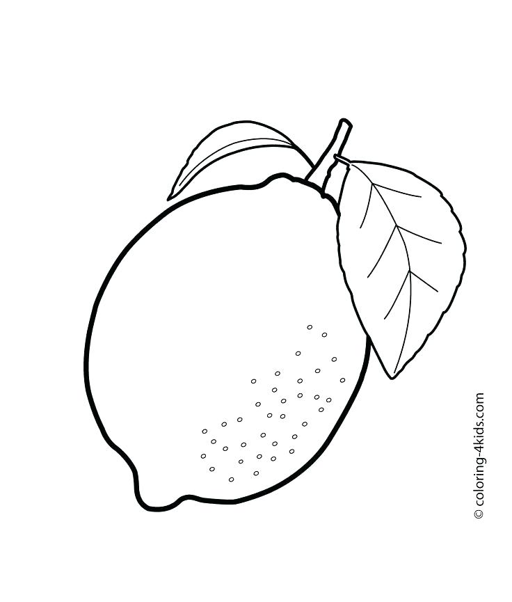 736x865 Printable Fruit Pictures Printable Fruit Coloring Pages Kids