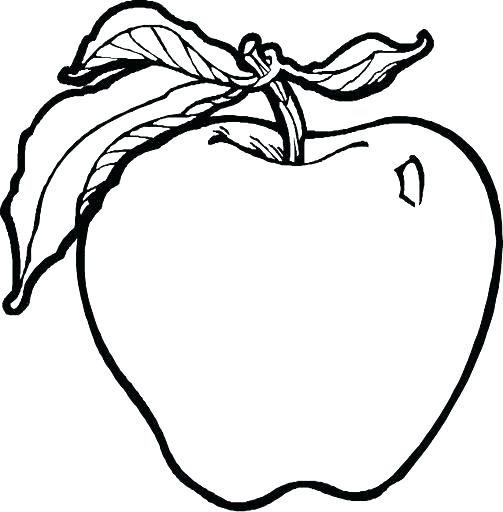 503x512 Apple Coloring Pages For Kindergarten Coloring Pages Apple Apple