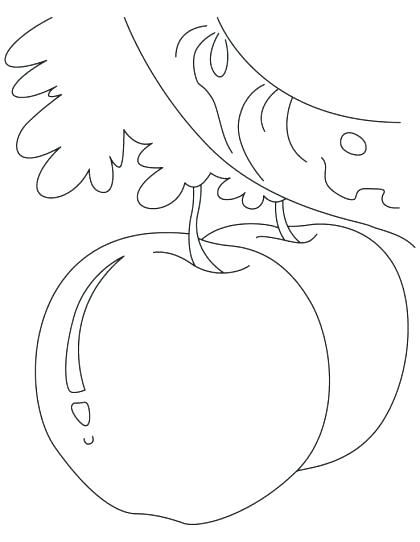420x542 Johnny Appleseed Coloring Pages Kindergarten Johnny Coloring Page