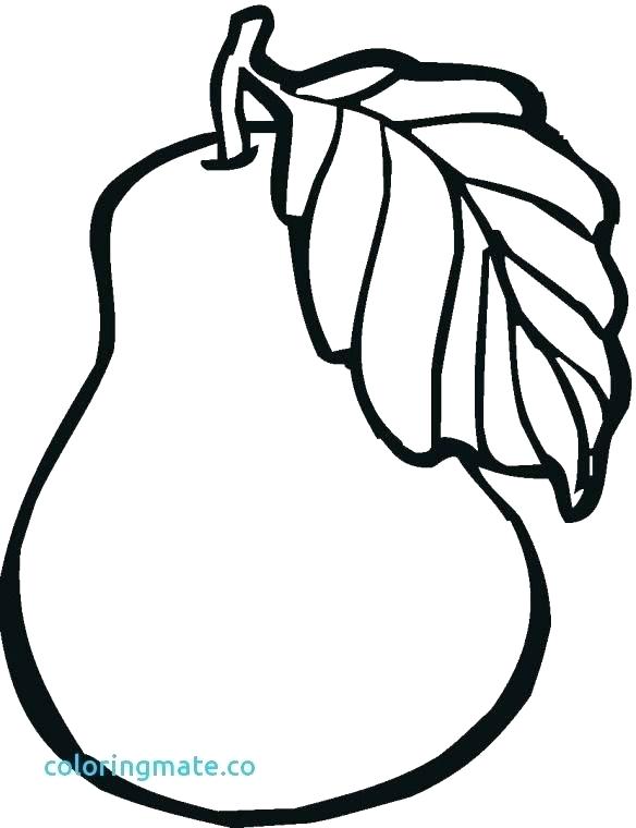 584x760 Apple Coloring Pages Adult Apple Coloring Pages For Kindergarten