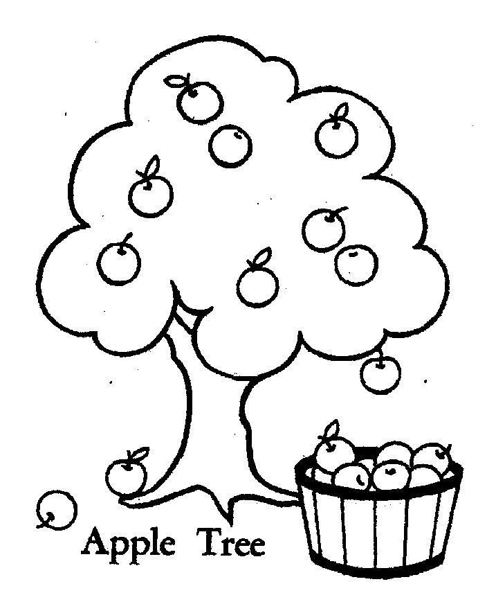 704x869 8 Best Plant Coloring Pages Images On Apple Tree