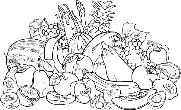 600x366 Fruit Coloring Pages Coloring Apple Coloring Sheet Apple Orchard
