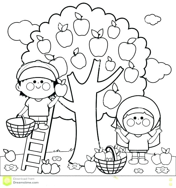 618x661 Apple Tree Coloring Page Apple Tree Coloring Sheet Apple Coloring
