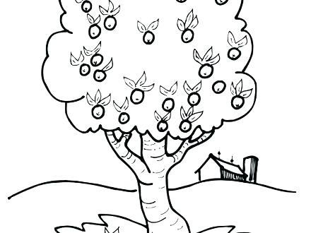 440x330 Apple Tree Coloring Pages Apple Tree Coloring Sheet Apple Tree