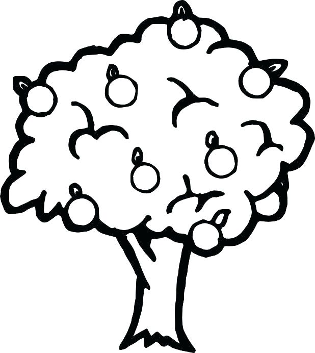 618x692 Apple Coloring Sheet Apple Tree Coloring Sheet Apple Tree Coloring