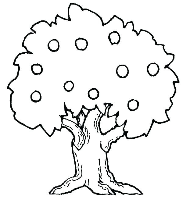 600x666 Coloring Pages Tree Coloring Pages Tree Tree Coloring Pages Fall