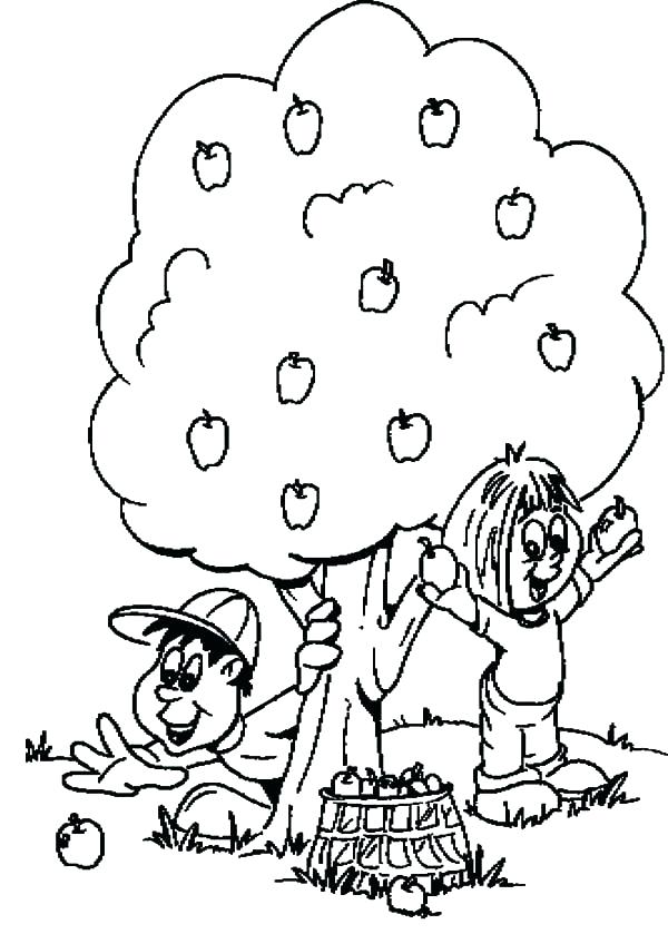 600x839 Apple Tree Coloring Coloring Page Apple Tree Nature Printable
