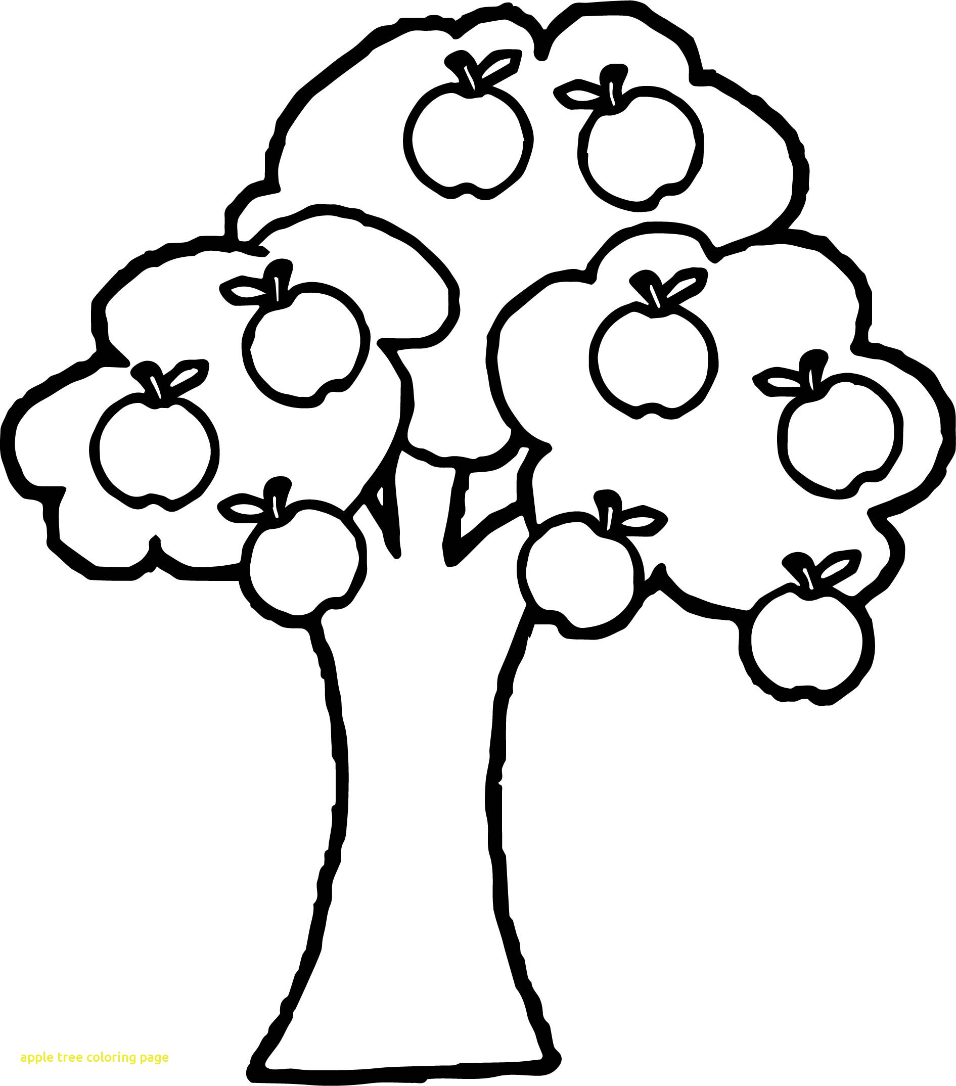 1891x2148 Apple Tree Coloring Page