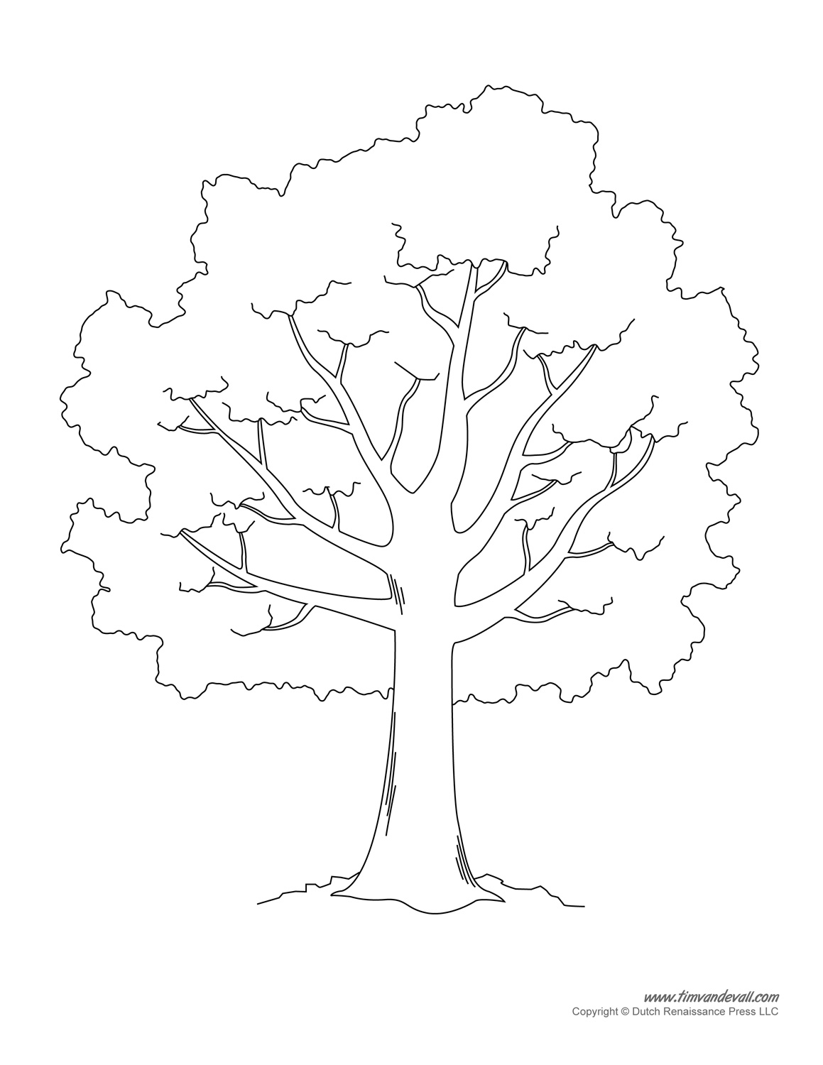 1159x1500 Apple Tree Coloring Page Amusing Apple Tree Coloring Page