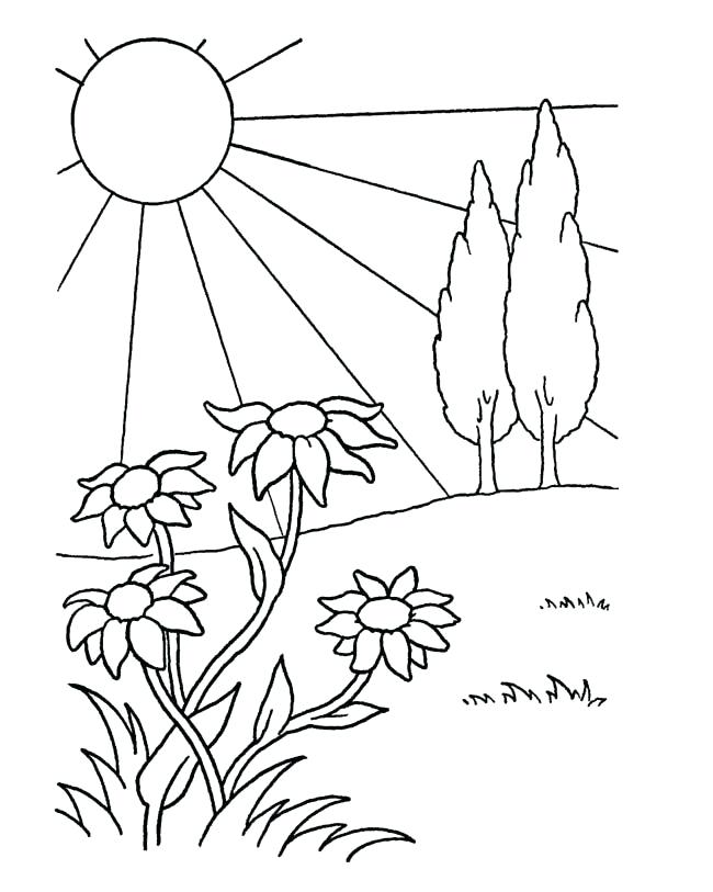 650x813 April Coloring Pages Detail Spring Coloring Pages April Fools Day
