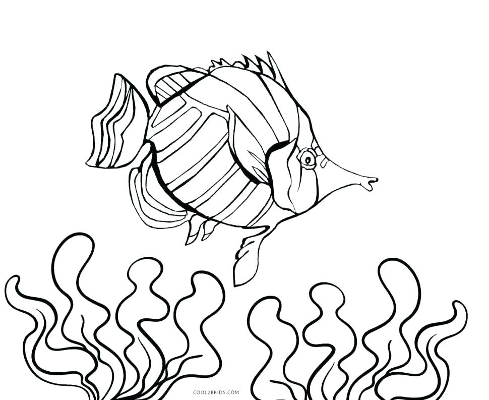 970x793 Fish Coloring Pages Free Fish Tank Coloring Page Aquarium Coloring