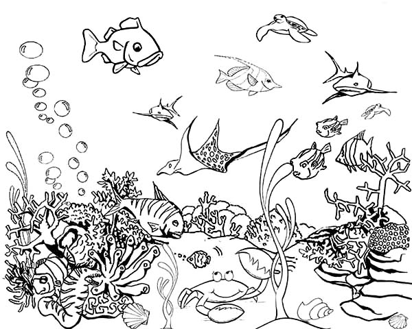 600x480 Fish Aquarium Coloring Pages Tropical Fish Tank Coloring Page