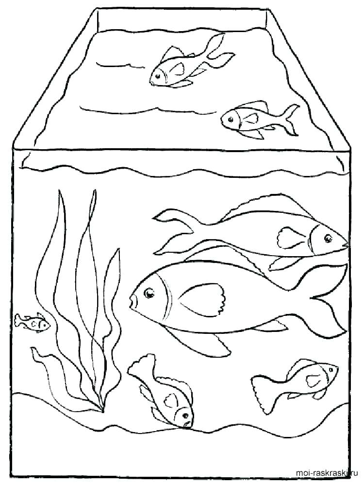 750x1000 Aquarium Coloring Page Coloring Pages Fish Aquarium Coloring Page