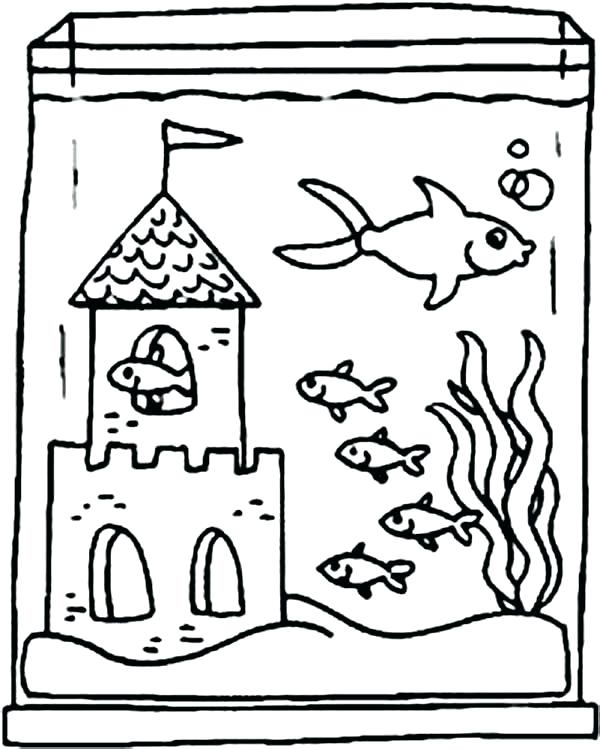 600x749 Aquarium Coloring Pages Ocean Habitat Coloring Pages Aquarium