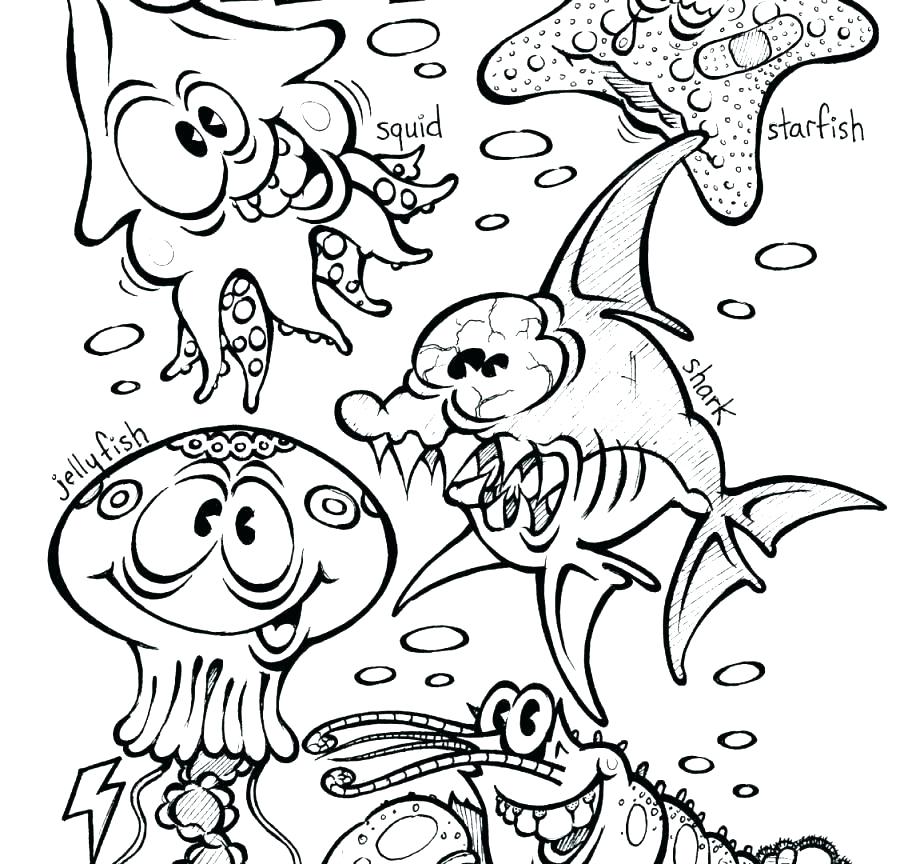 904x864 Aquarium Coloring Pages Ocean Habitat Coloring Pages Printable