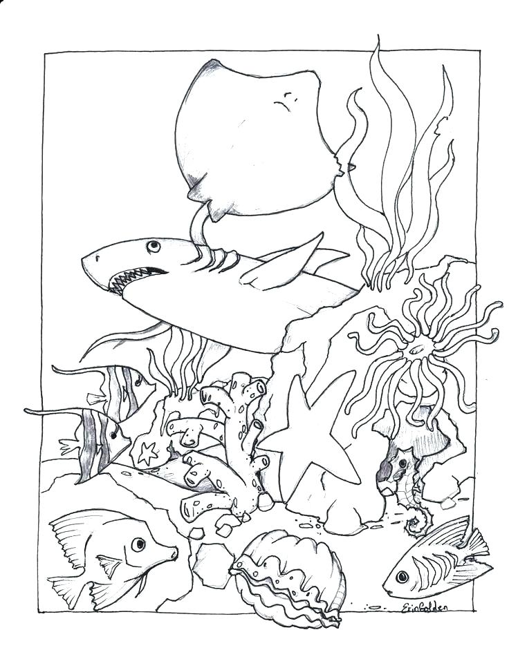 736x954 Aquarium Coloring Page Aquarium Coloring Pages Aquarium Coloring