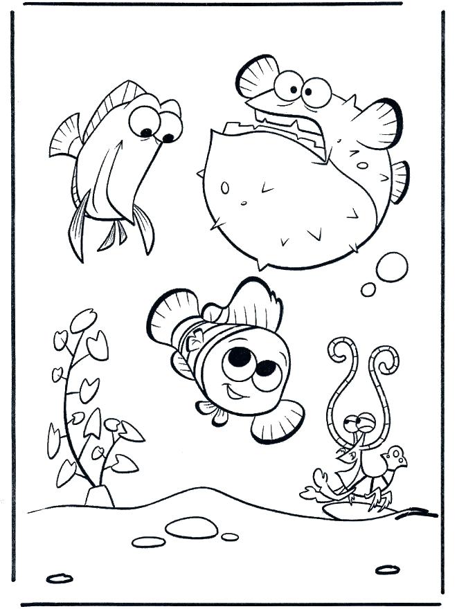 660x880 Clearwater Marine Aquarium Coloring Pages