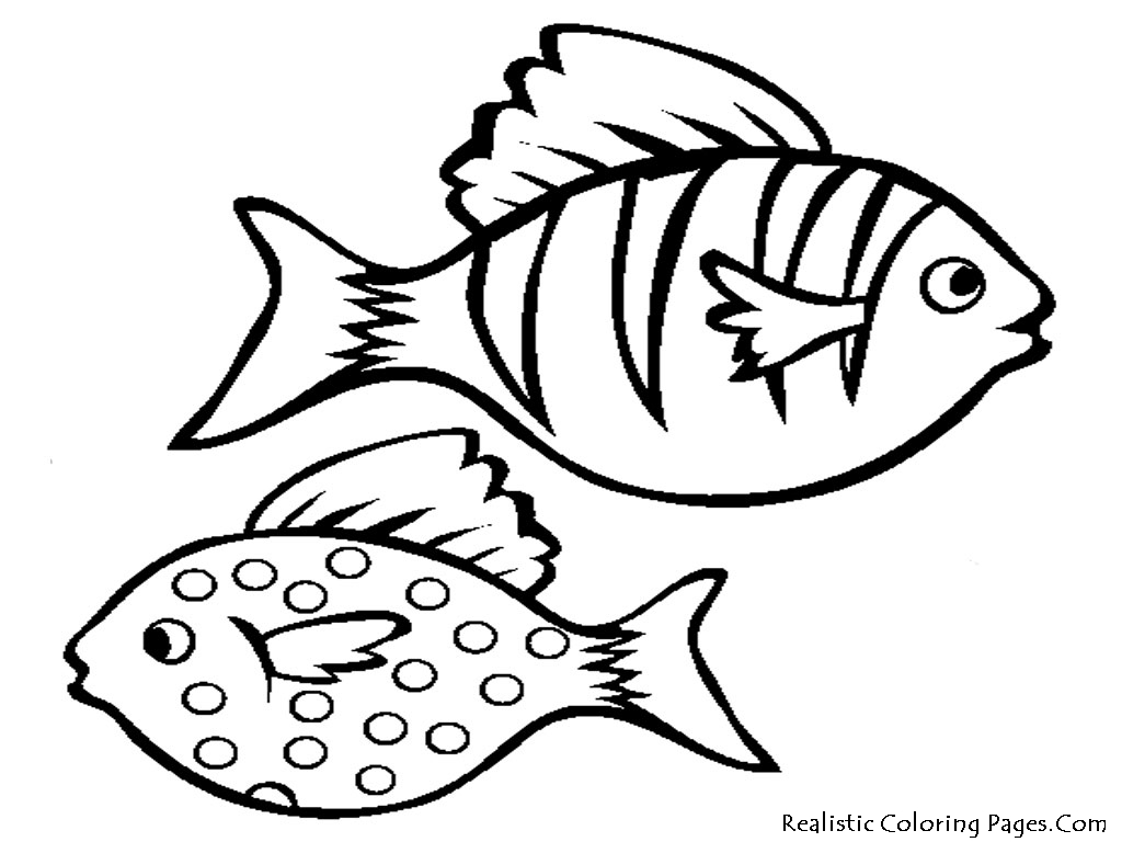 1024x768 Coloring Educational Goldfish Pages Full Image For Cute Page